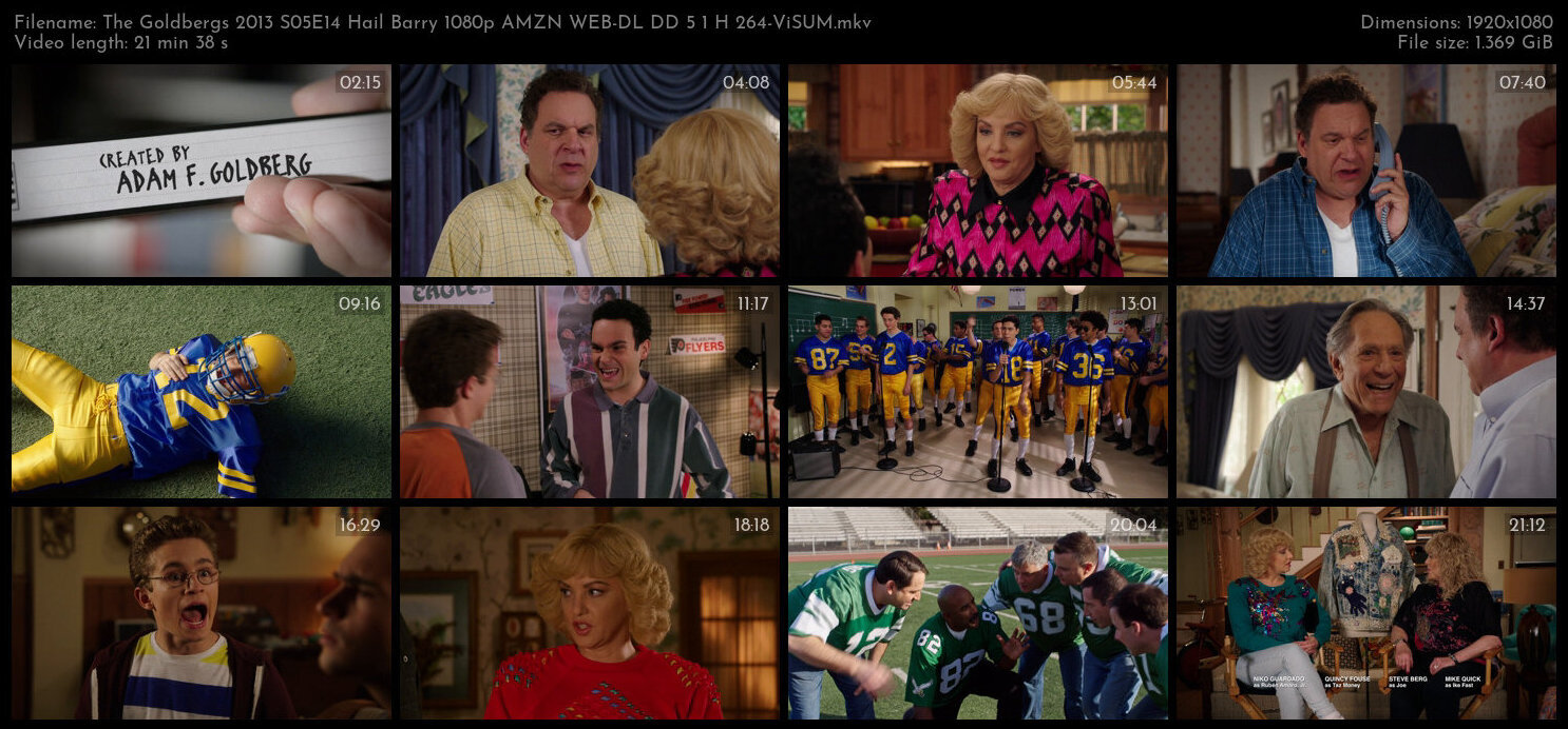 The Goldbergs 2013 S05E14 Hail Barry 1080p AMZN WEB DL DD 5 1 H 264 ViSUM TGx