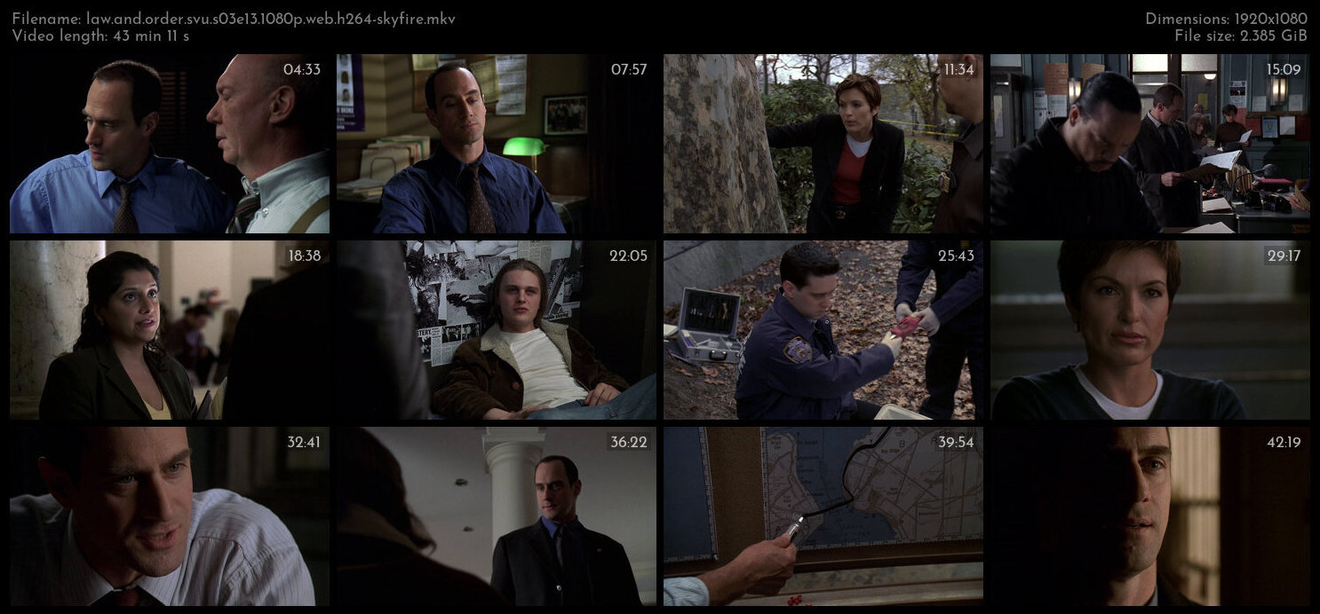 Law And Order SVU S03E13 1080p WEB H264 SKYFiRE TGx