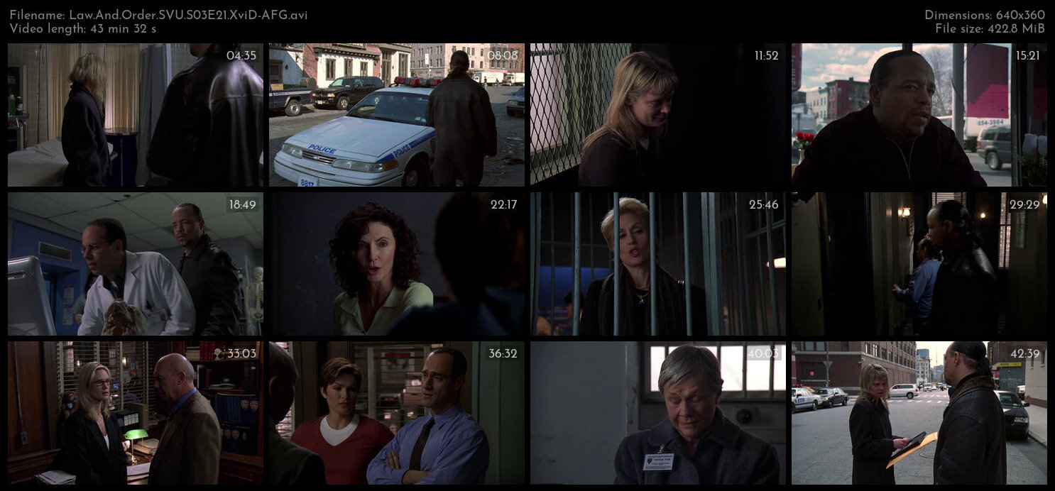 Law And Order SVU S03E21 XviD AFG TGx