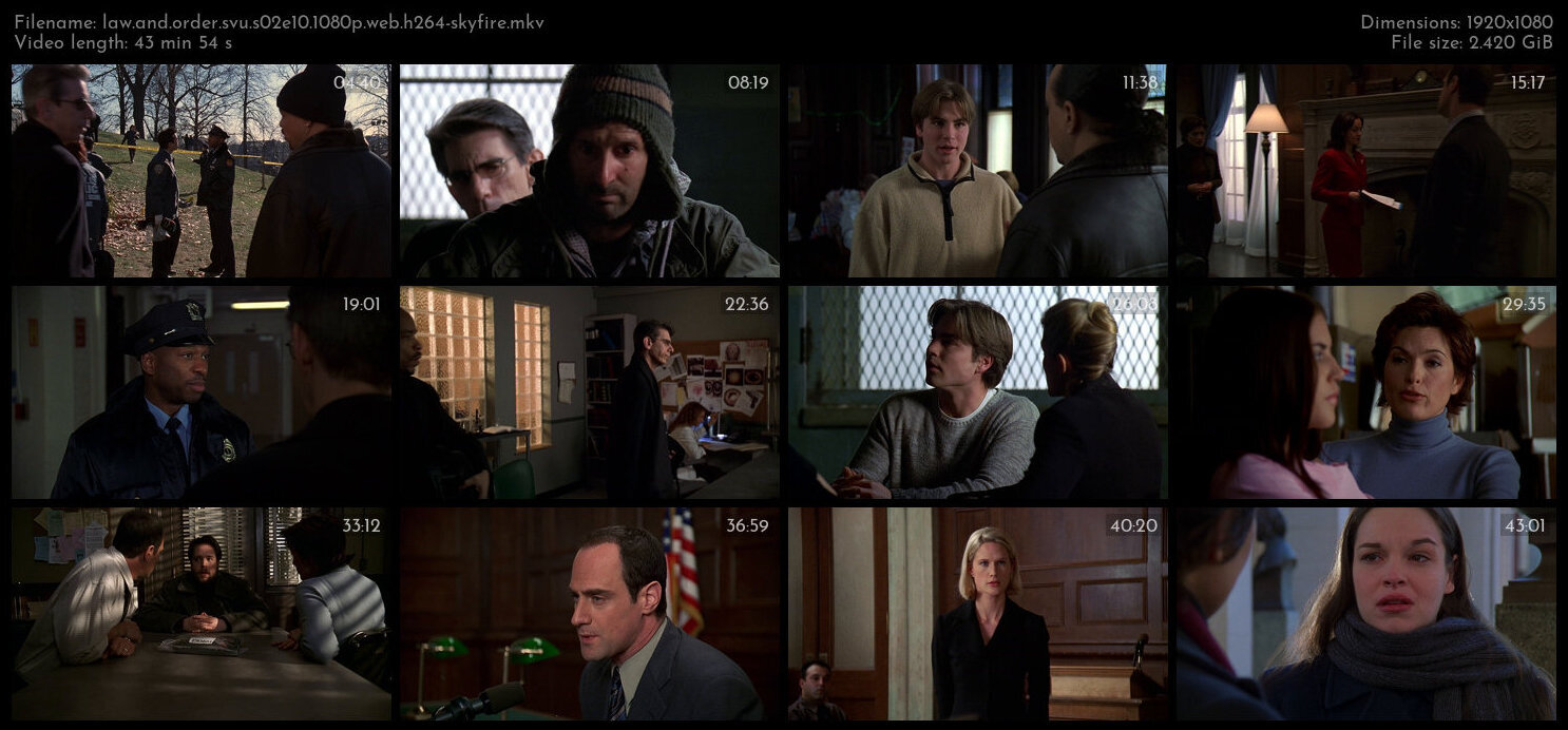 Law And Order SVU S02E10 1080p WEB H264 SKYFiRE TGx