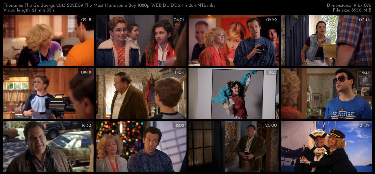 The Goldbergs 2013 S02E09 The Most Handsome Boy 1080p WEB DL DD5 1 h 264 NTb TGx