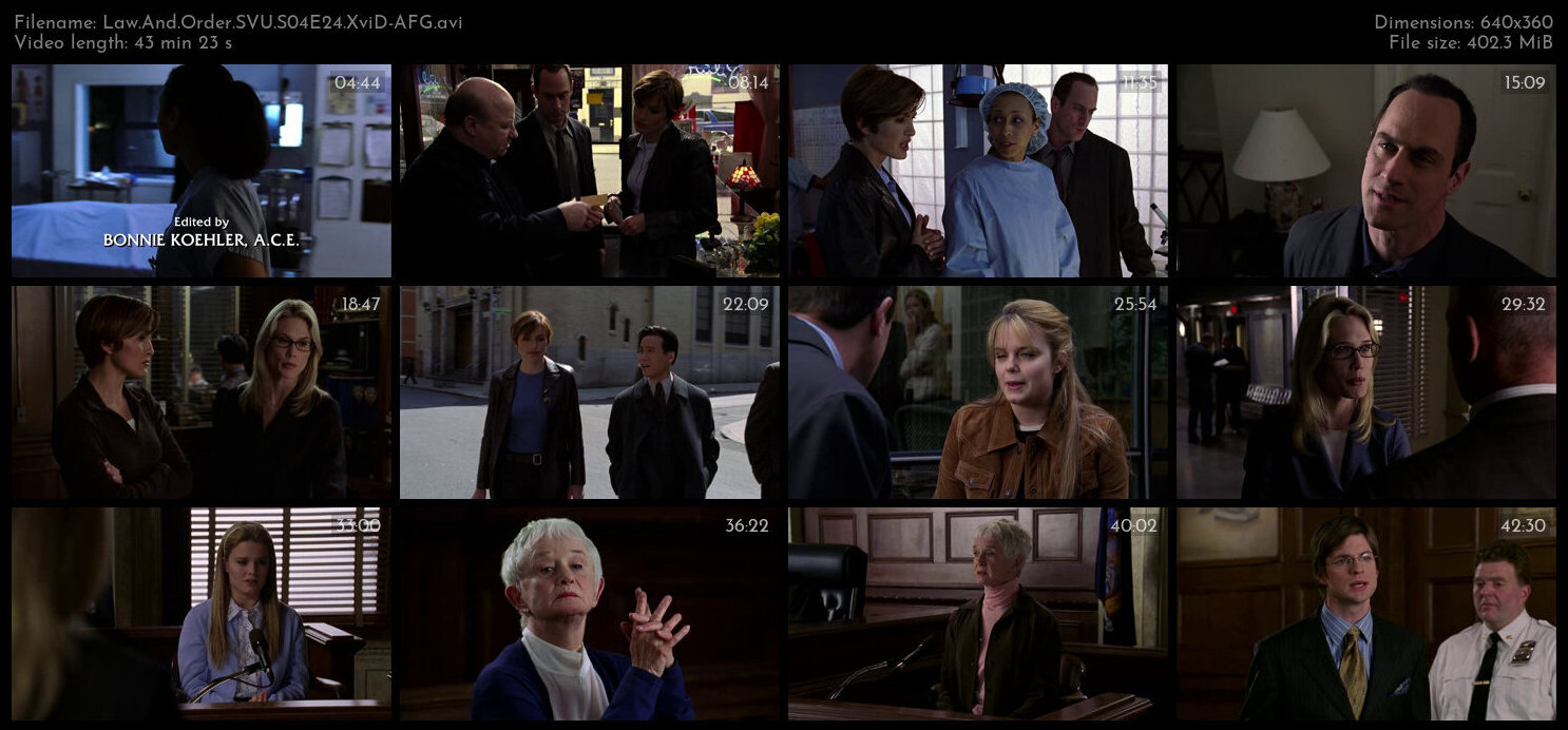 Law And Order SVU S04E24 XviD AFG TGx