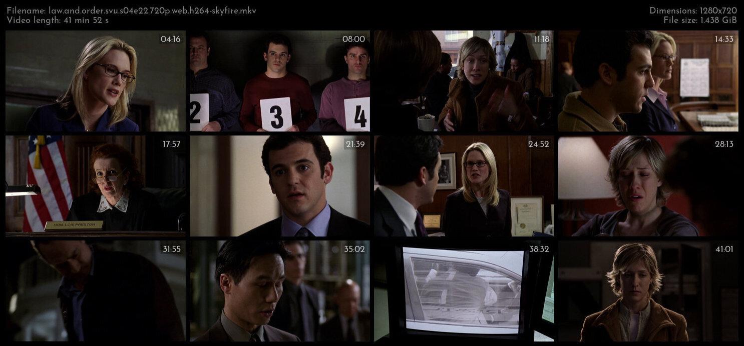 Law And Order SVU S04E22 720p WEB H264 SKYFiRE TGx