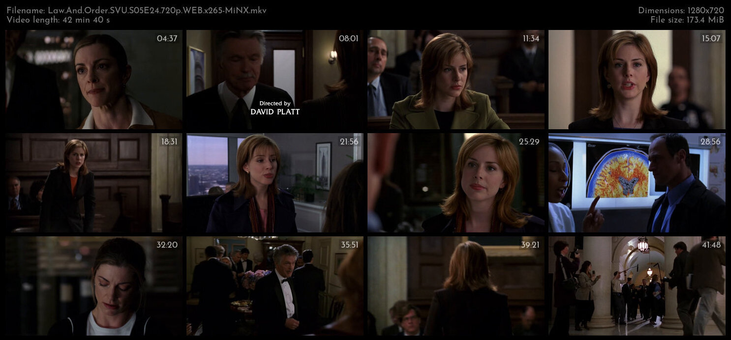 Law And Order SVU S05E24 720p WEB x265 MiNX TGx