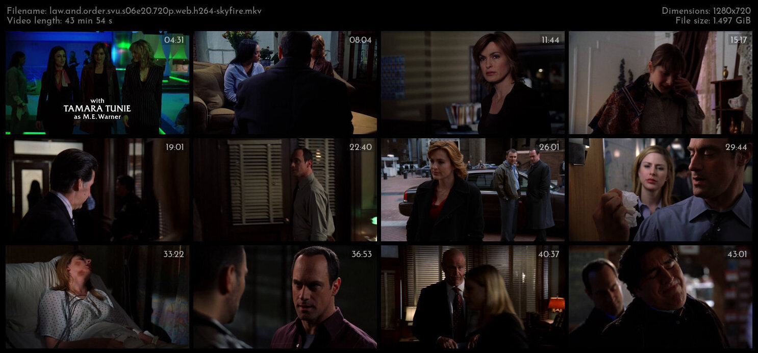 Law And Order SVU S06E20 720p WEB H264 SKYFiRE TGx