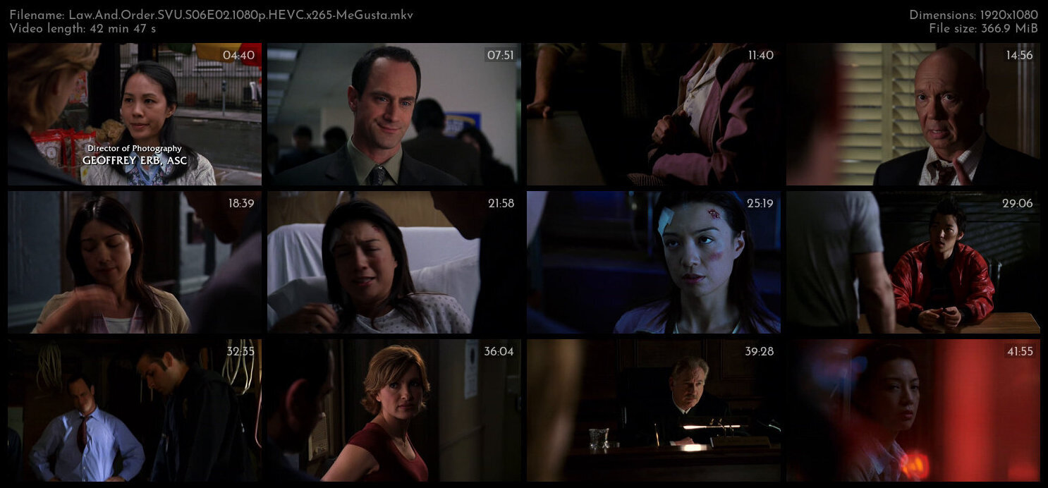 Law And Order SVU S06E02 1080p HEVC x265 MeGusta TGx