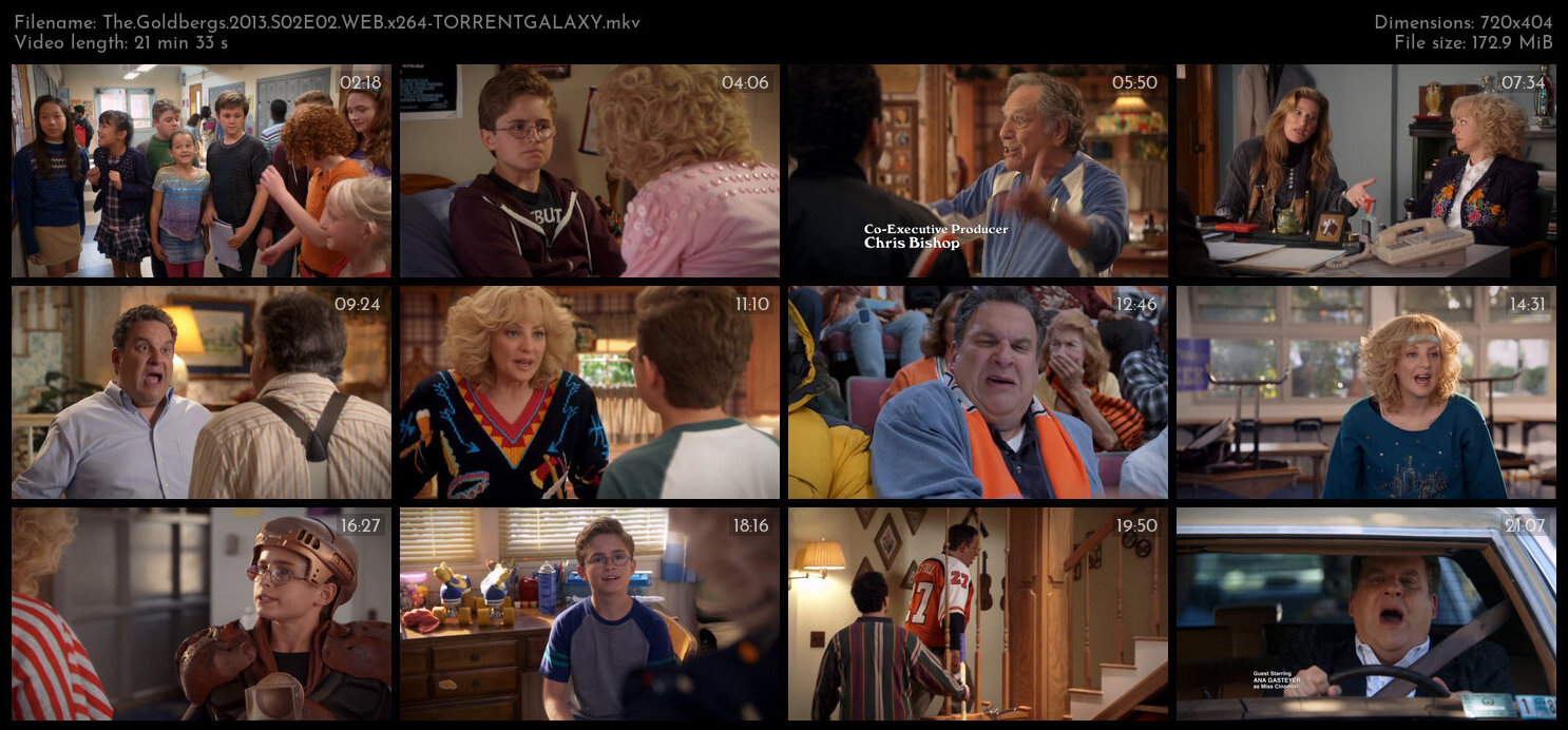 The Goldbergs 2013 S02E02 WEB x264 TORRENTGALAXY