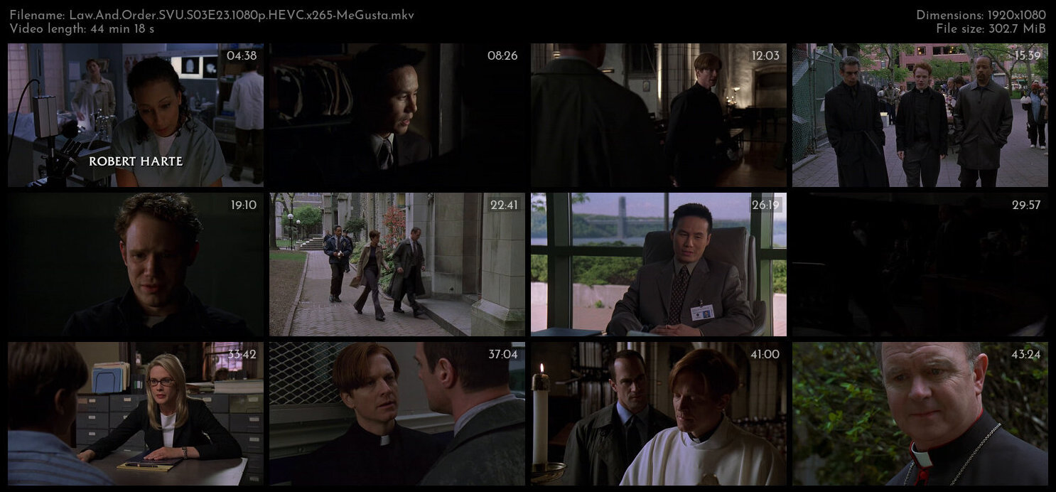 Law And Order SVU S03E23 1080p HEVC x265 MeGusta TGx