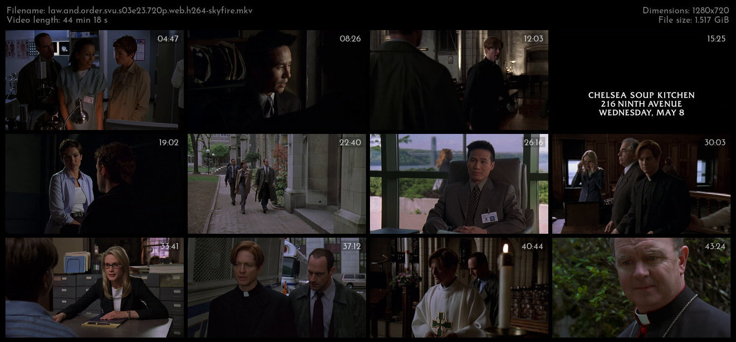 Law And Order SVU S03E23 720p WEB H264 SKYFiRE TGx