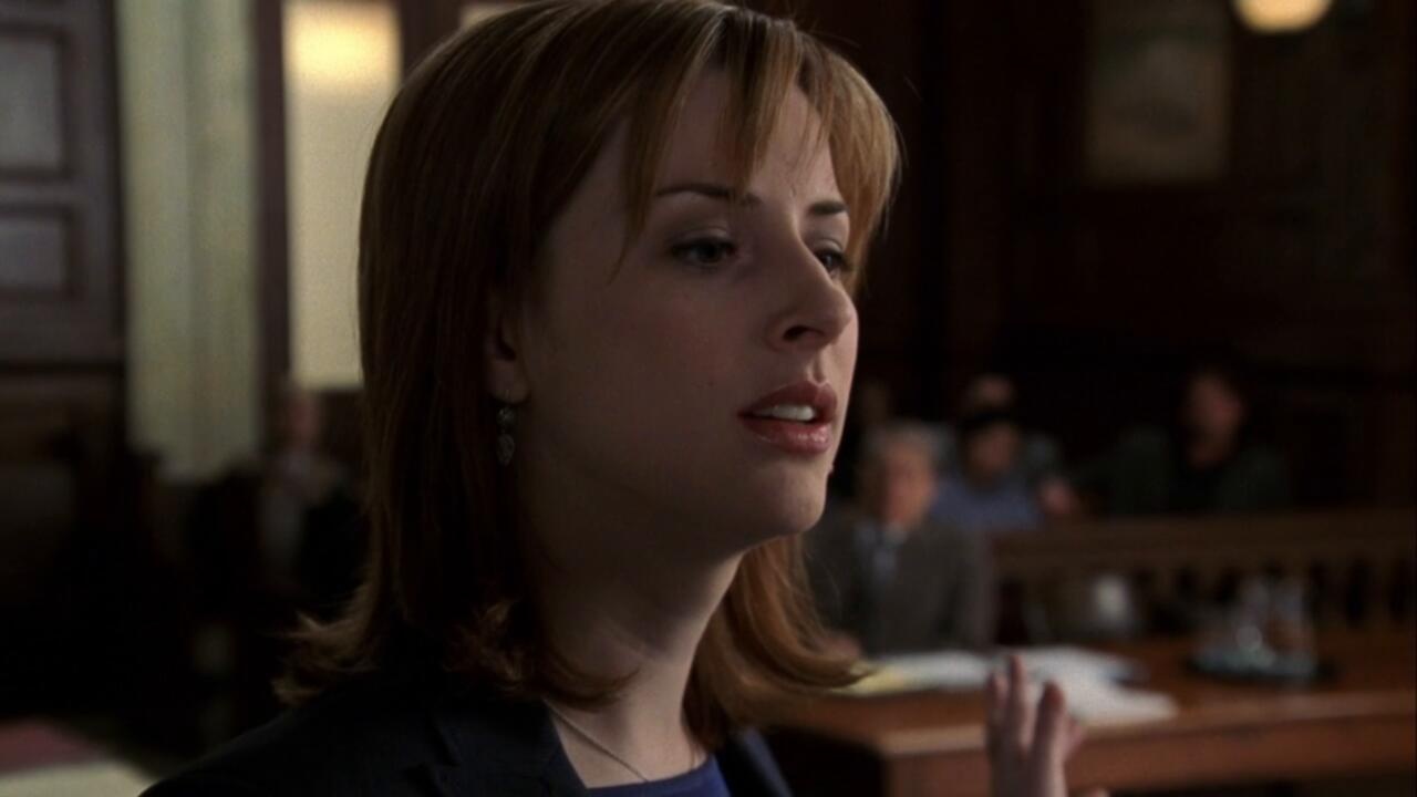 Law And Order SVU S05E22 720p WEB H264 SKYFiRE TGx