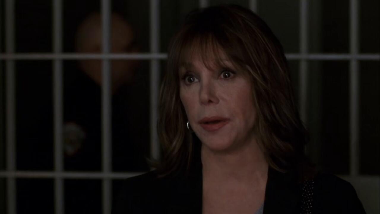 Law And Order SVU S05E24 720p WEB x265 MiNX TGx