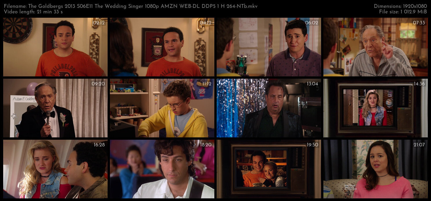 The Goldbergs 2013 S06E11 The Wedding Singer 1080p AMZN WEB DL DDP5 1 H 264 NTb TGx