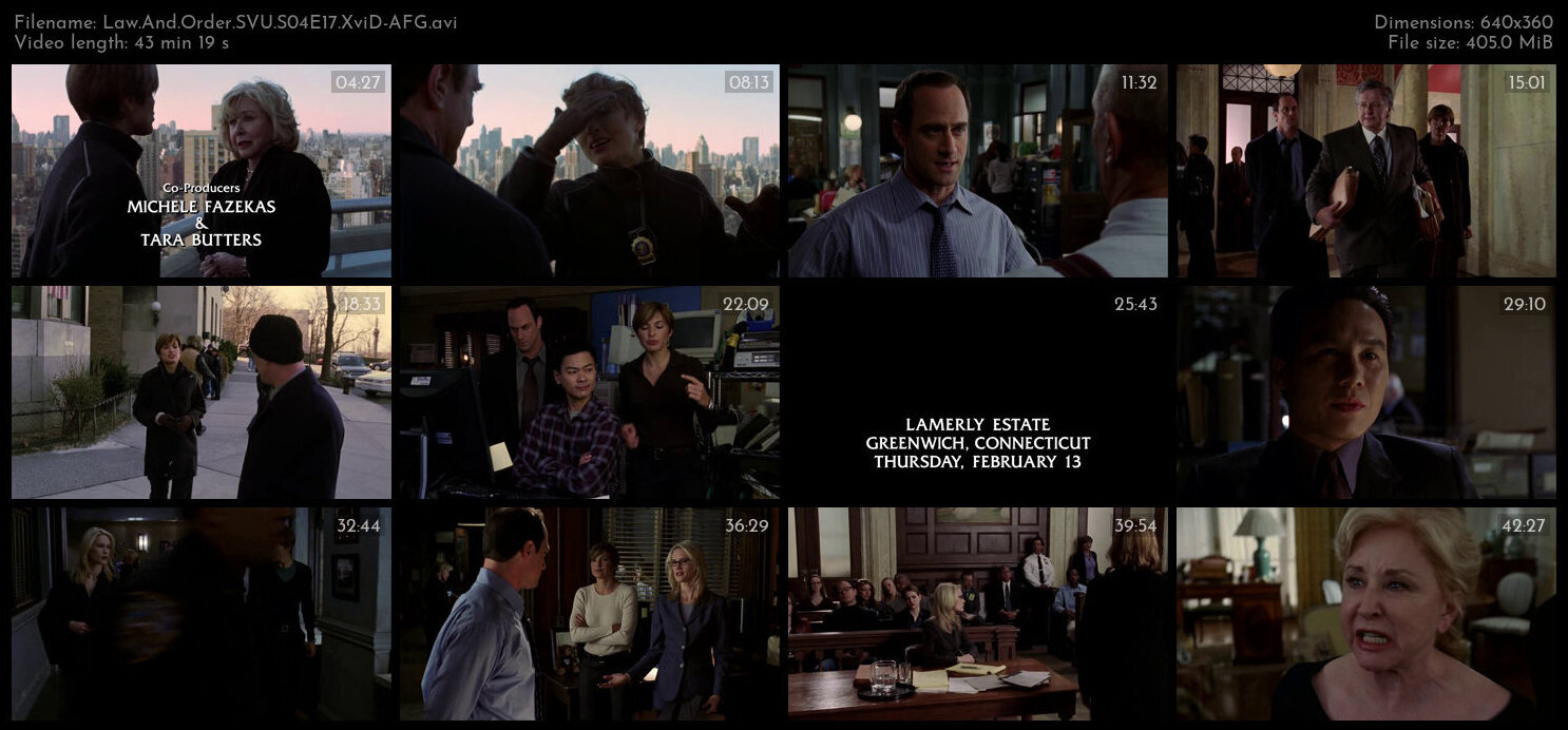 Law And Order SVU S04E17 XviD AFG TGx