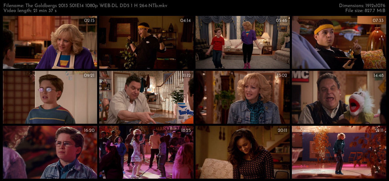 The Goldbergs 2013 S01E14 1080p WEB DL DD5 1 H 264 NTb TGx