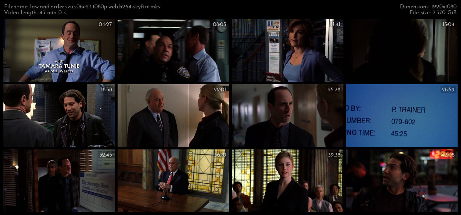 Law And Order SVU S06E23 1080p WEB H264 SKYFiRE TGx