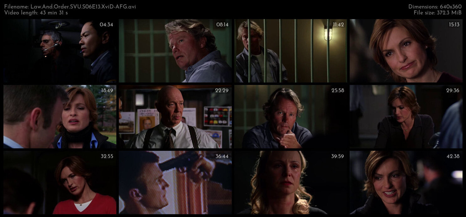 Law And Order SVU S06E13 XviD AFG TGx