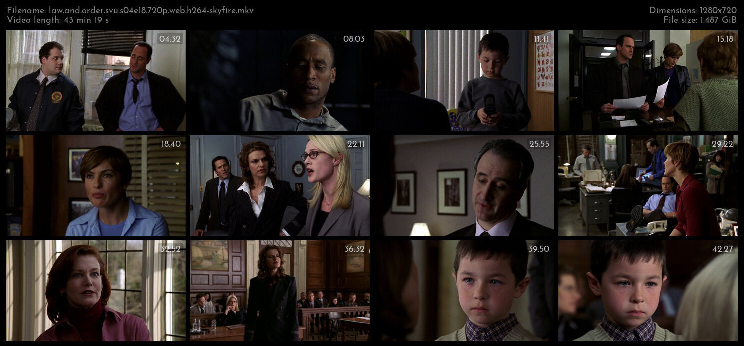 Law And Order SVU S04E18 720p WEB H264 SKYFiRE TGx