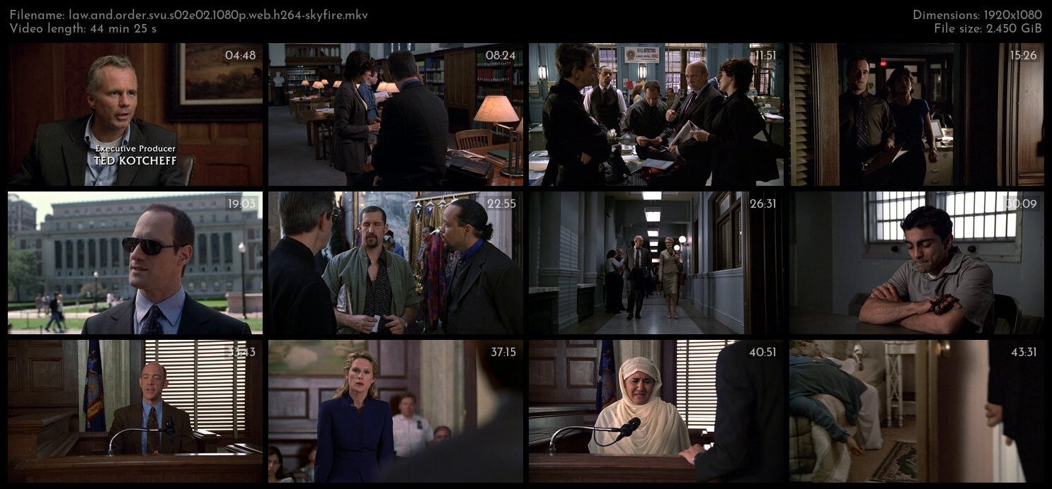 Law And Order SVU S02E02 1080p WEB H264 SKYFiRE TGx