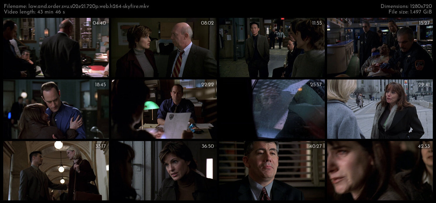 Law And Order SVU S02E21 720p WEB H264 SKYFiRE TGx