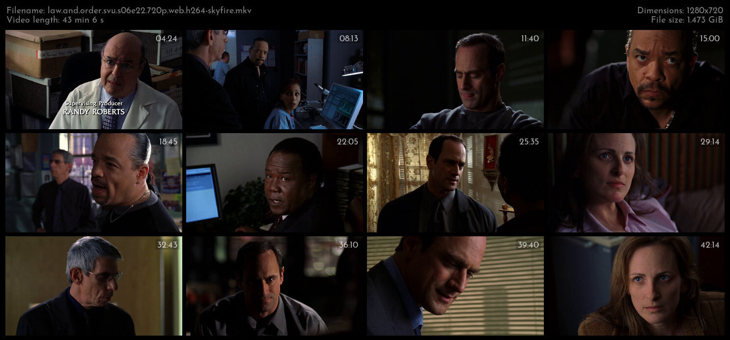 Law And Order SVU S06E22 720p WEB H264 SKYFiRE TGx