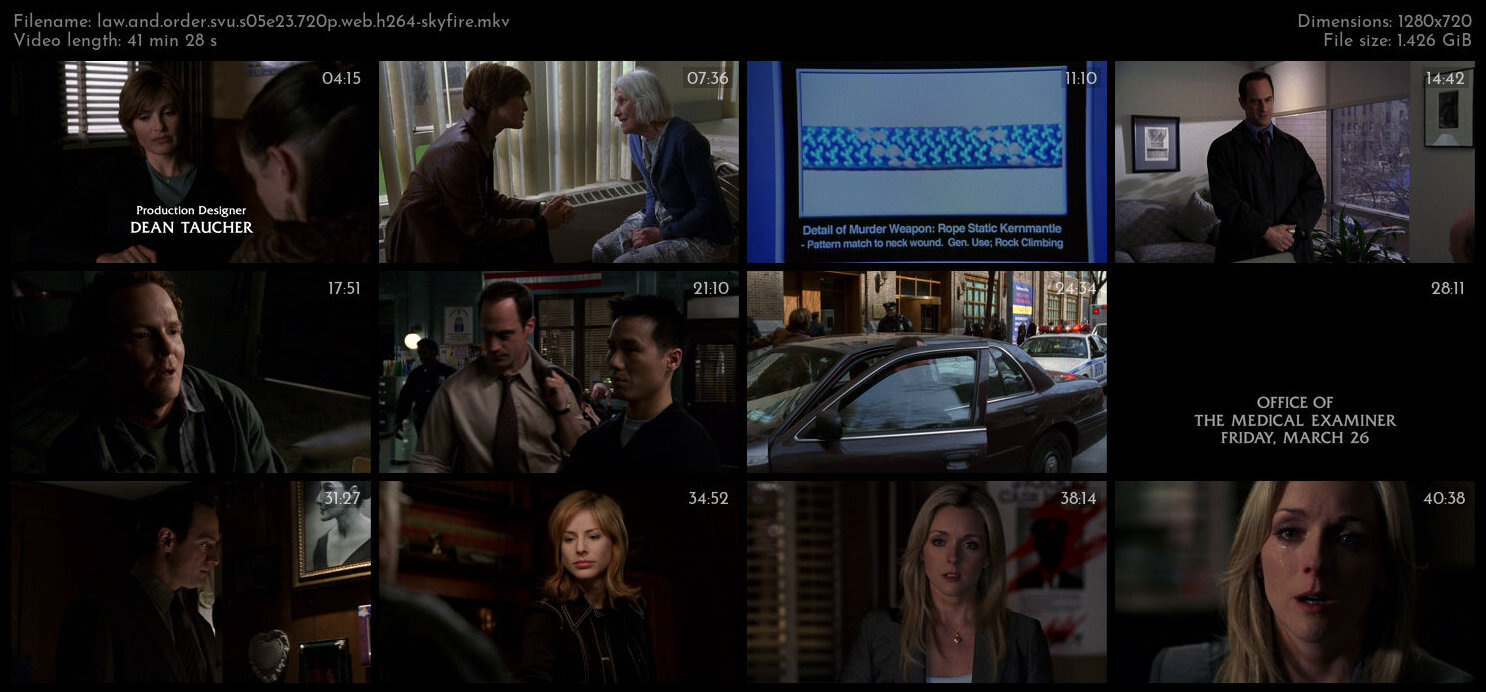 Law And Order SVU S05E23 720p WEB H264 SKYFiRE TGx