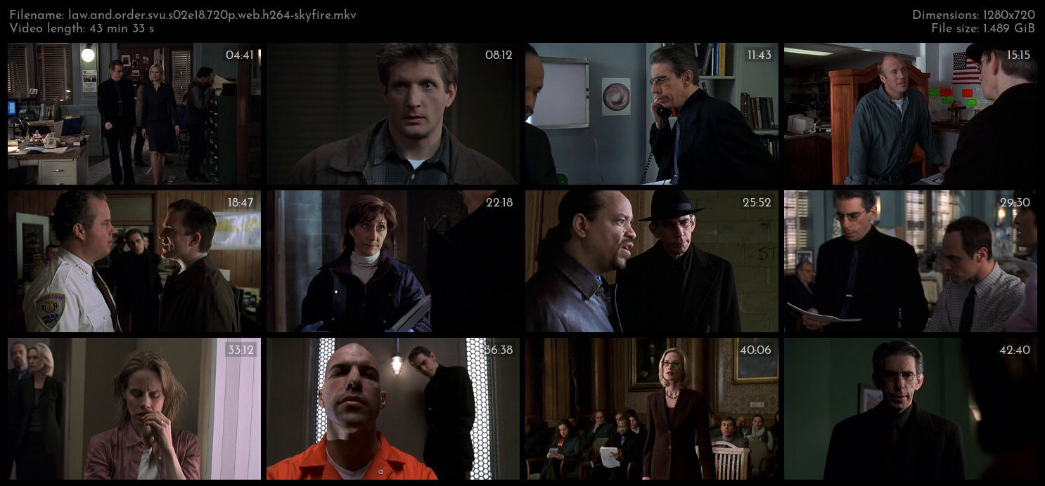 Law And Order SVU S02E18 720p WEB H264 SKYFiRE TGx