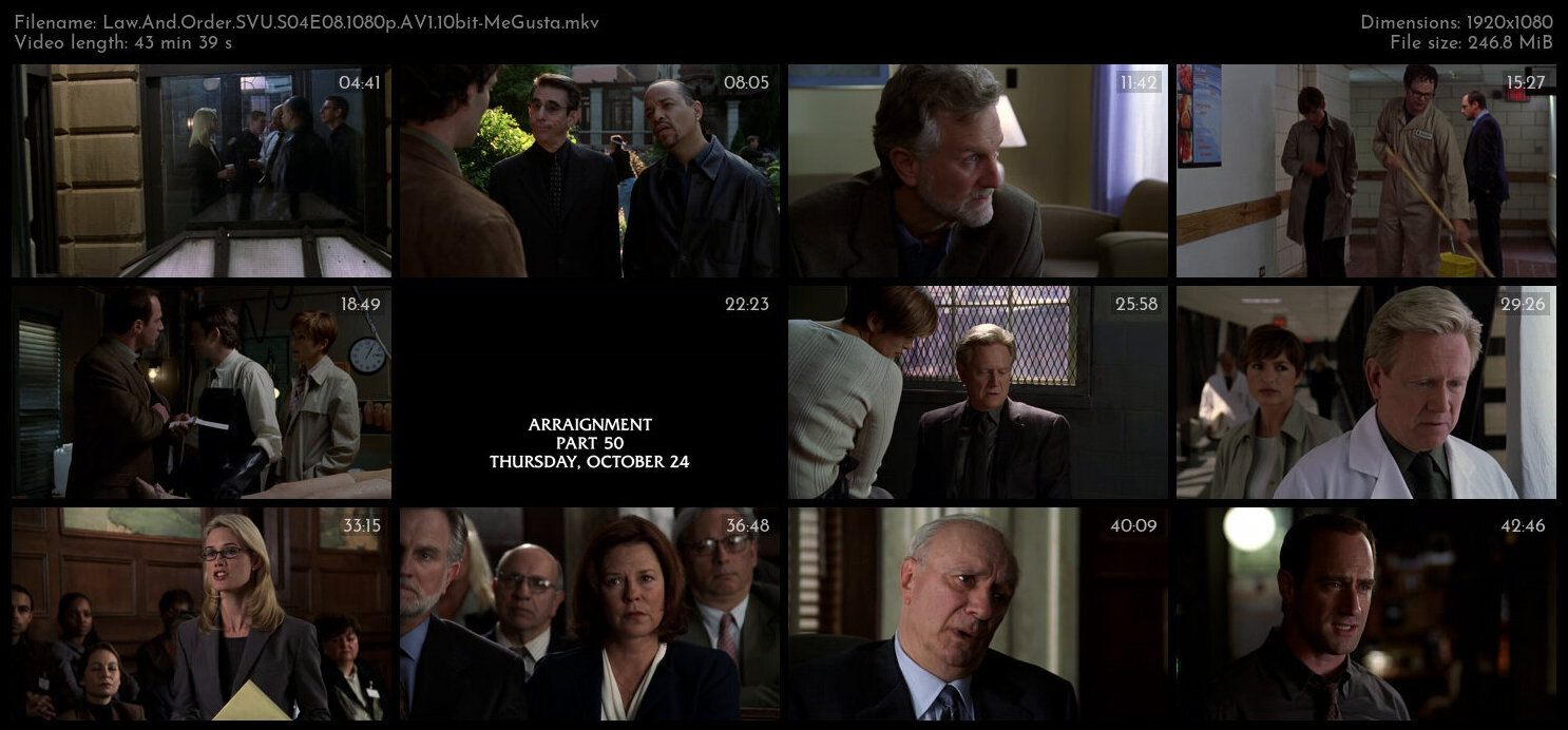 Law And Order SVU S04E08 1080p AV1 10bit MeGusta TGx