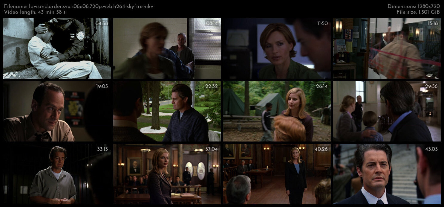 Law And Order SVU S06E06 720p WEB H264 SKYFiRE TGx