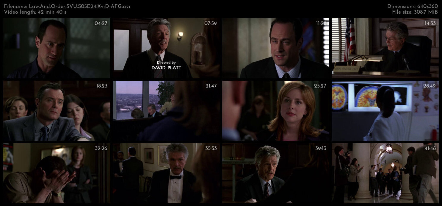 Law And Order SVU S05E24 XviD AFG TGx