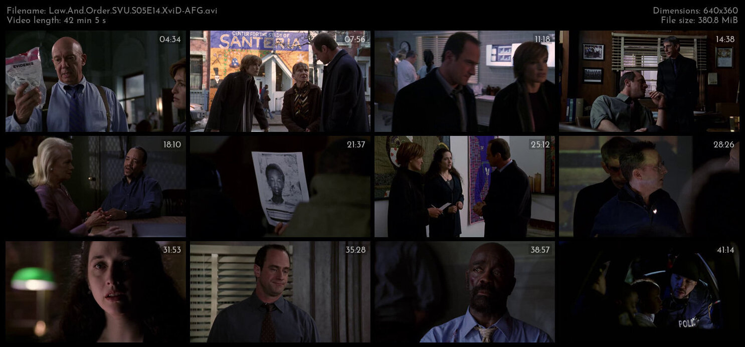 Law And Order SVU S05E14 XviD AFG TGx