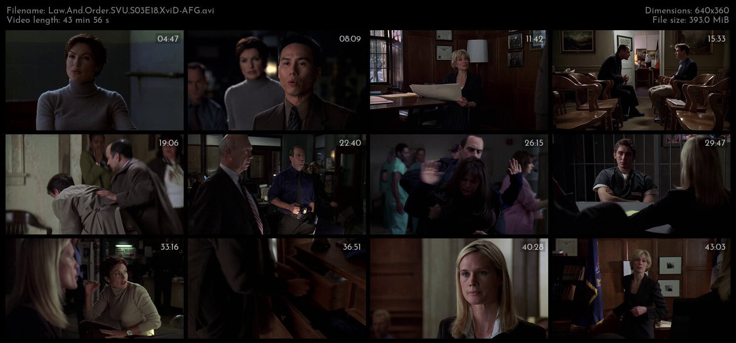 Law And Order SVU S03E18 XviD AFG TGx