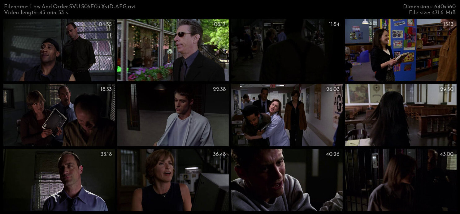 Law And Order SVU S05E03 XviD AFG TGx