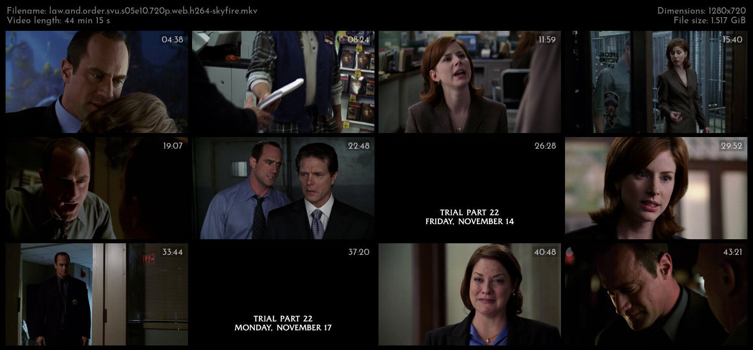 Law And Order SVU S05E10 720p WEB H264 SKYFiRE TGx