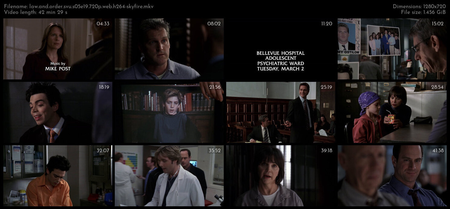 Law And Order SVU S05E19 720p WEB H264 SKYFiRE TGx