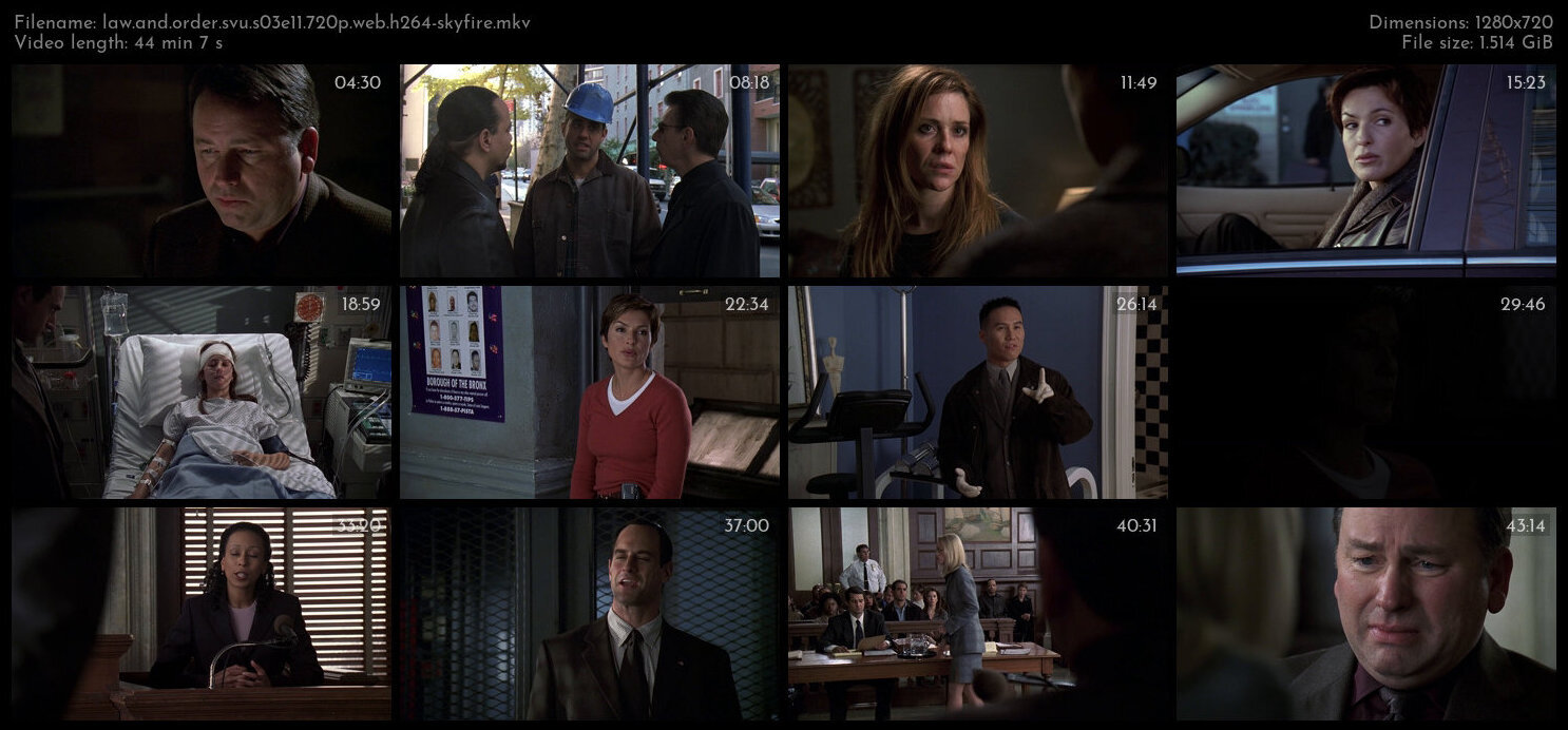 Law And Order SVU S03E11 720p WEB H264 SKYFiRE TGx