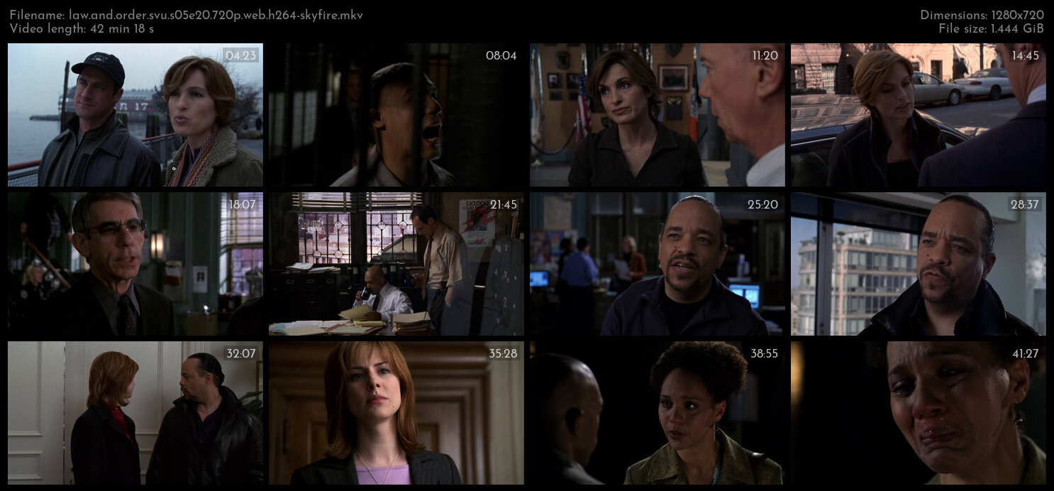 Law And Order SVU S05E20 720p WEB H264 SKYFiRE TGx