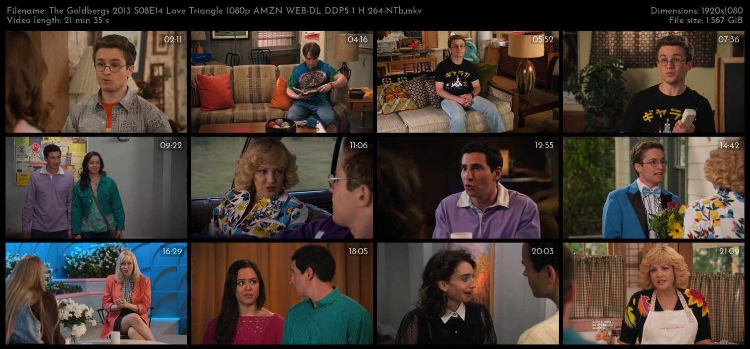 The Goldbergs 2013 S08E14 Love Triangle 1080p AMZN WEB DL DDP5 1 H 264 NTb TGx