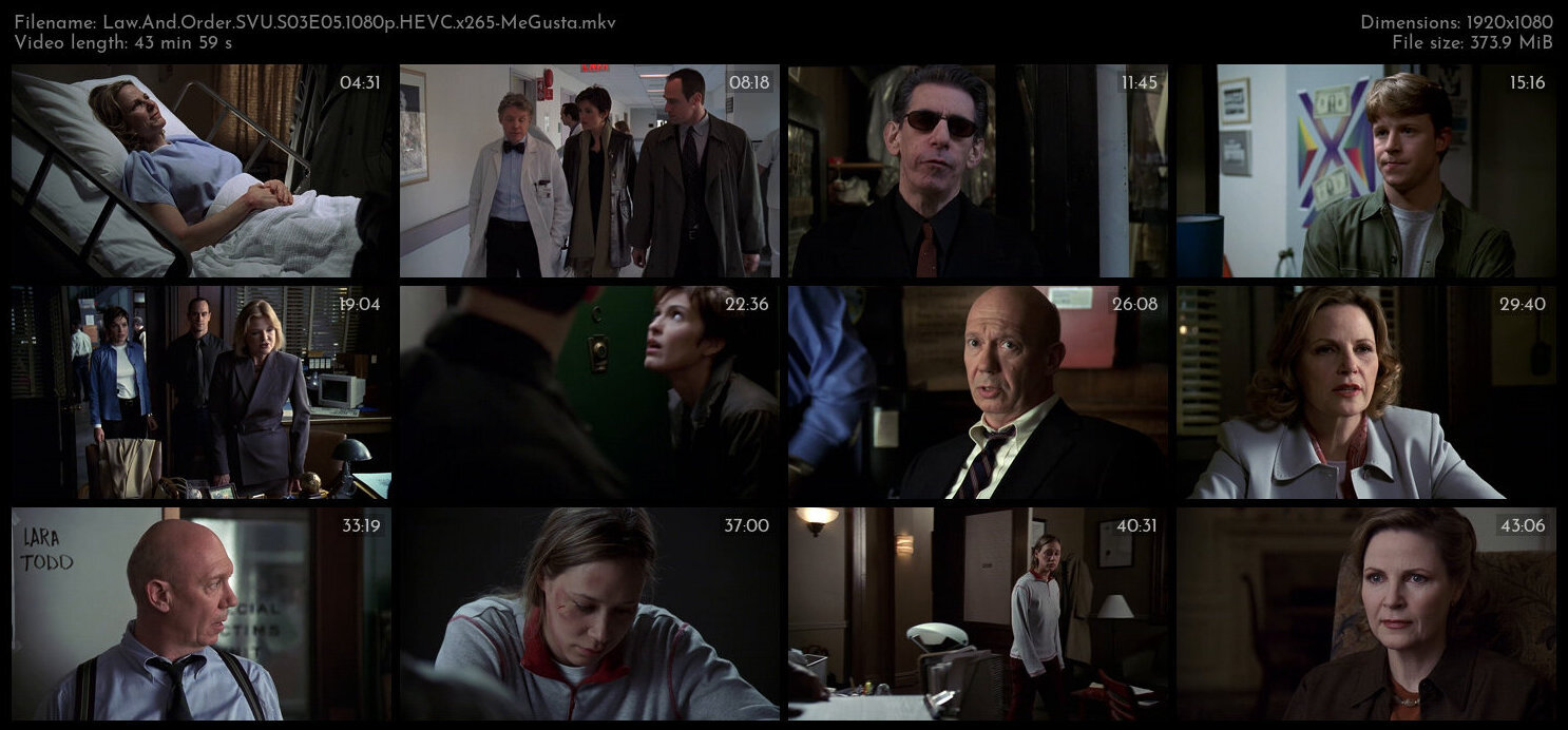 Law And Order SVU S03E05 1080p HEVC x265 MeGusta TGx