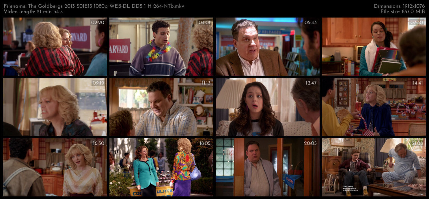 The Goldbergs 2013 S01E13 1080p WEB DL DD5 1 H 264 NTb TGx