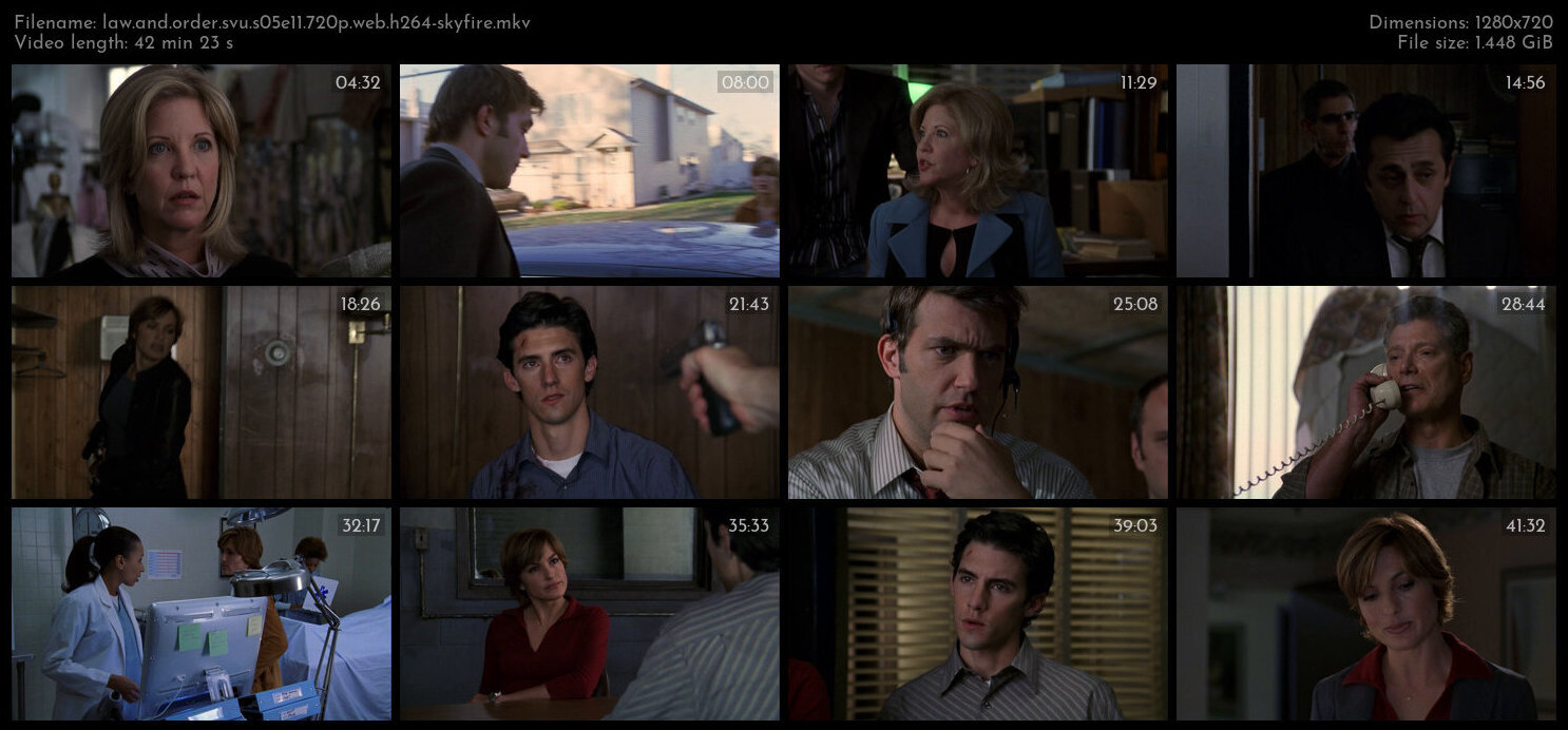 Law And Order SVU S05E11 720p WEB H264 SKYFiRE TGx