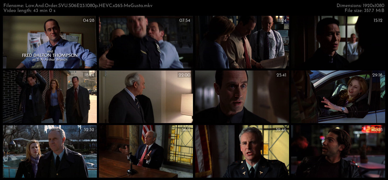 Law And Order SVU S06E23 1080p HEVC x265 MeGusta TGx