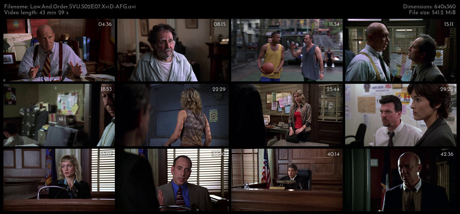 Law And Order SVU S02E07 XviD AFG TGx