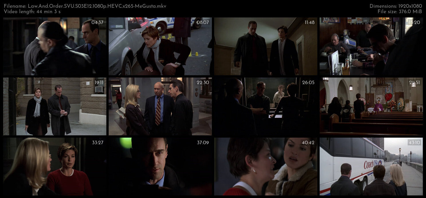 Law And Order SVU S03E12 1080p HEVC x265 MeGusta TGx