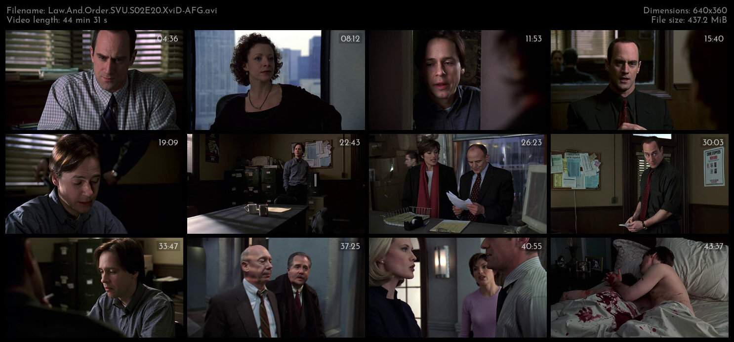 Law And Order SVU S02E20 XviD AFG TGx