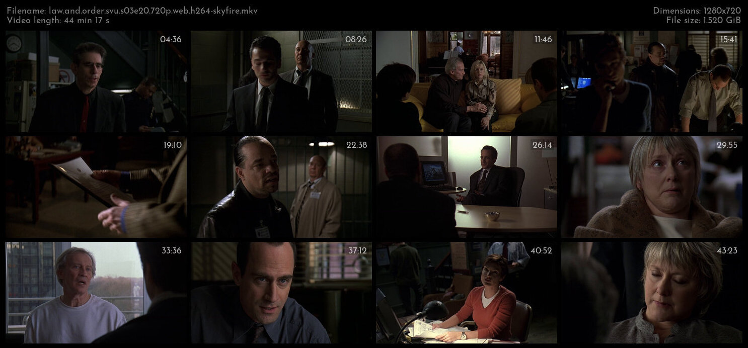 Law And Order SVU S03E20 720p WEB H264 SKYFiRE TGx