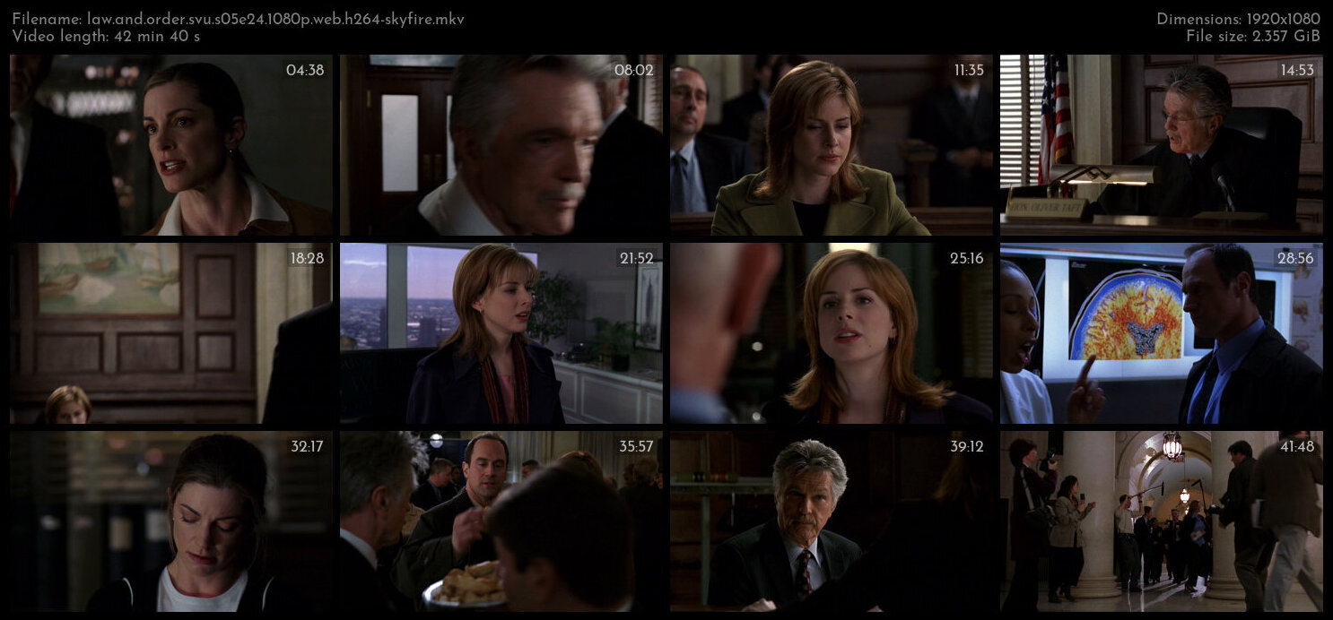 Law And Order SVU S05E24 1080p WEB H264 SKYFiRE TGx