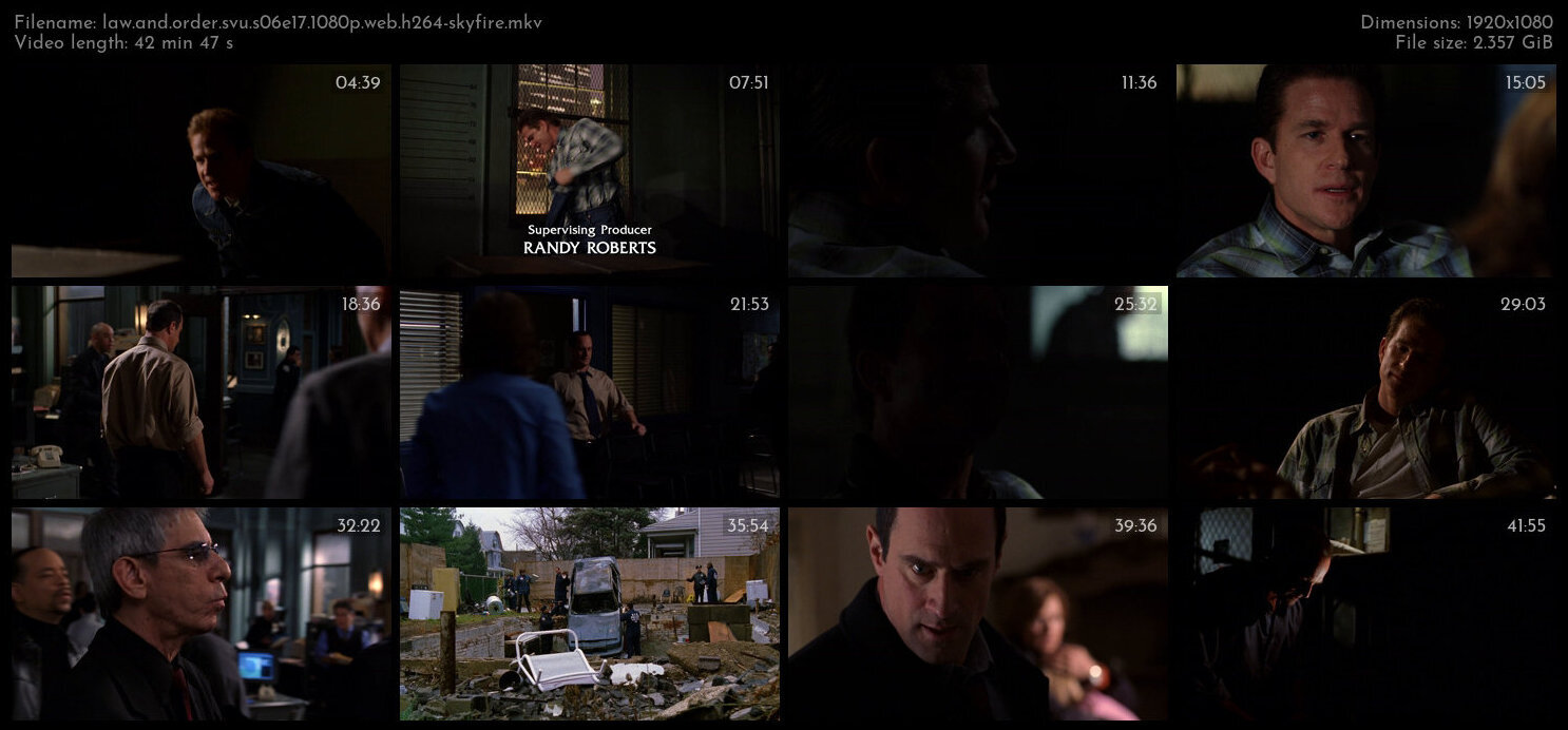 Law And Order SVU S06E17 1080p WEB H264 SKYFiRE TGx