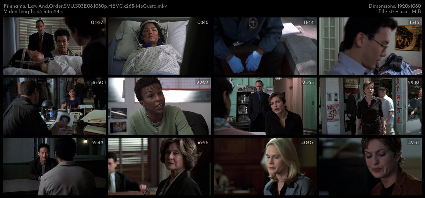 Law And Order SVU S03E08 1080p HEVC x265 MeGusta TGx