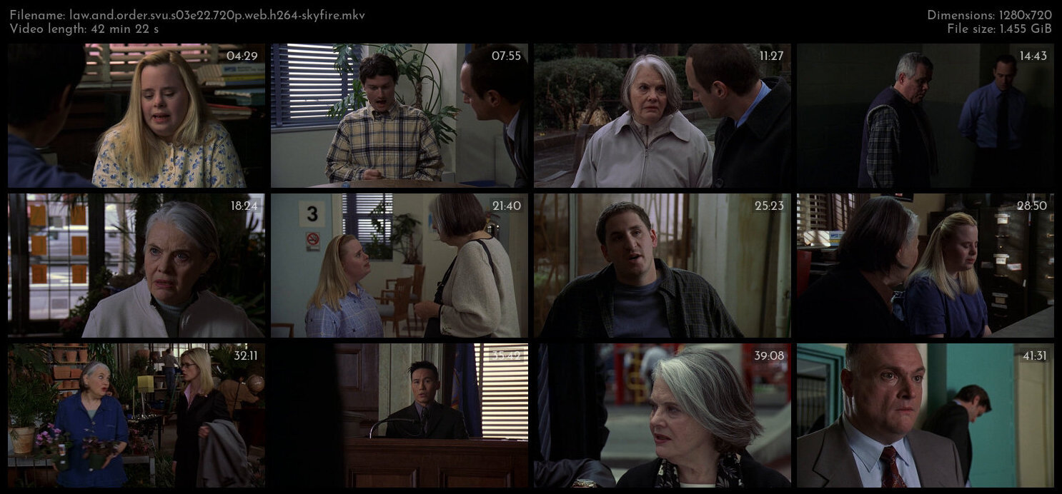 Law And Order SVU S03E22 720p WEB H264 SKYFiRE TGx