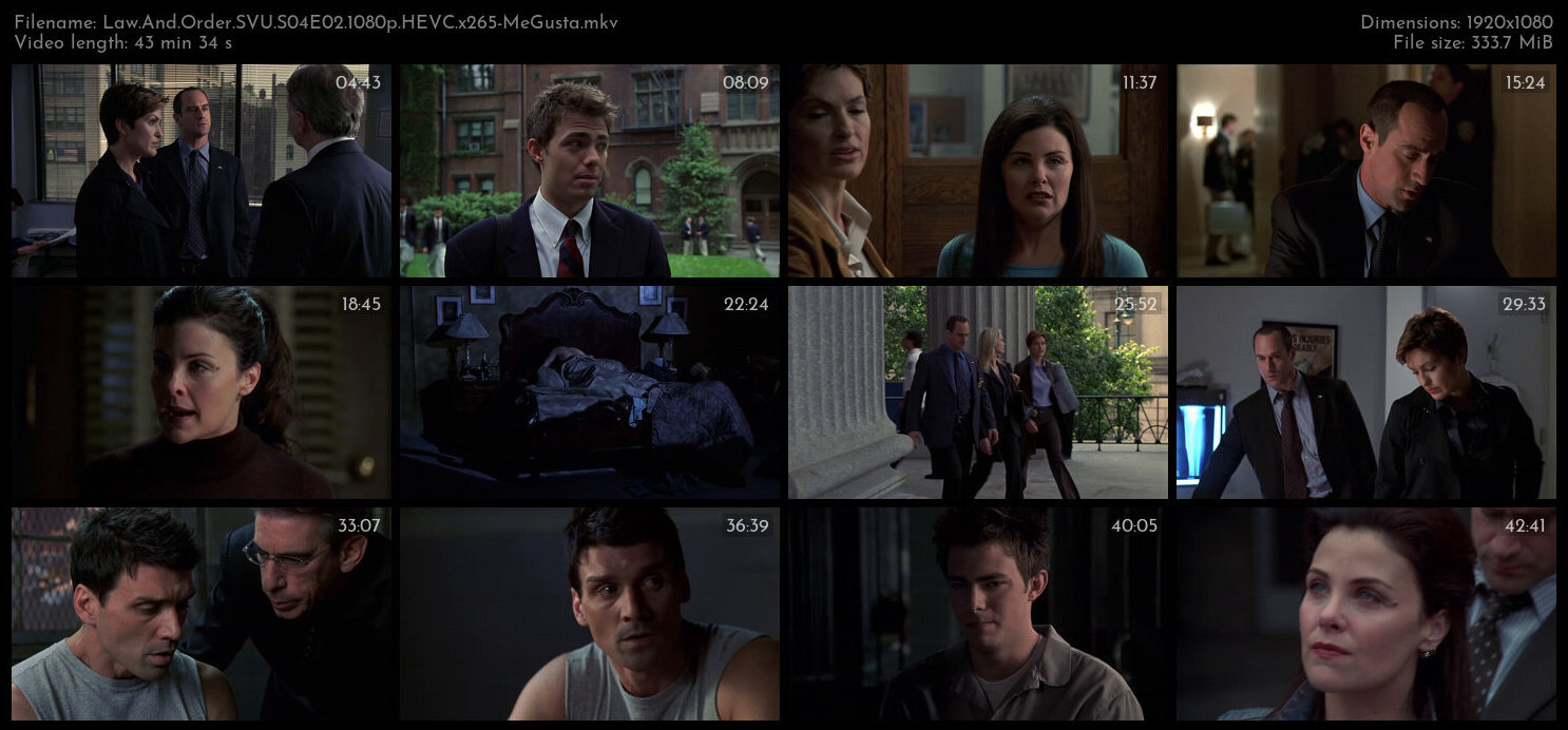 Law And Order SVU S04E02 1080p HEVC x265 MeGusta TGx